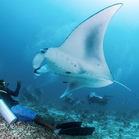 South Ari Dive Center Hotel Dhangethi Exterior foto